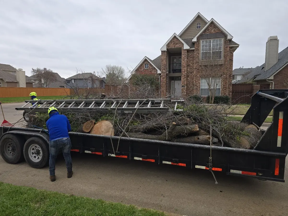 Expert Lot Clearing with proper safety equipment in Reeder
